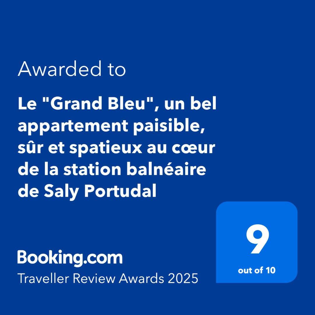 Le "Grand Bleu", Un Bel Appartement Paisible, Sur Et Spatieux Au Coeur De La Station Balneaire De Салі-Портюдаль Екстер'єр фото